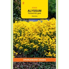 OBZ Alyssum saxatile compactum