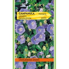 OBZ Campanula carpatica Blauw