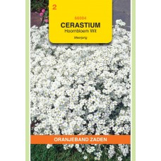 OBZ Cerastium biebersteinii Wit