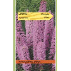 OBZ Liatris spicata Purperrose