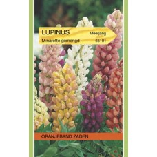 OBZ Lupinus Minarette Gemengd