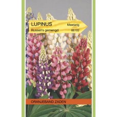 OBZ Lupinus Russel' S Gemengd