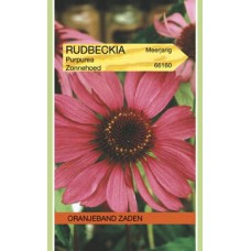 OBZ Rudbeckia purpurea