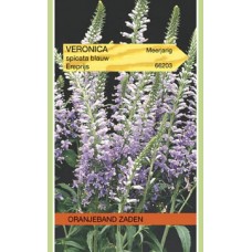 OBZ Veronica spicata Blauw