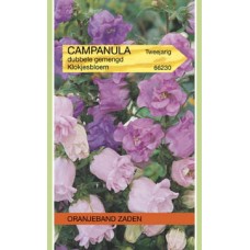 OBZ Campanula medium Dubbele Gemengd