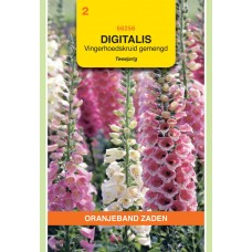 OBZ Digitalis purpurea Gemengd