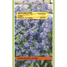 OBZ Myosotis alpestris Indigo Blauw