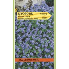 OBZ Myosotis alpestris Victoria Blauw