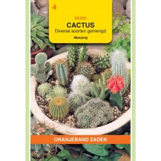 OBZ Cactus Gewone Gemengd