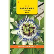 OBZ Passiflora coerulea