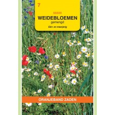 OBZ Weidebloemen 10 M2