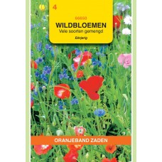 OBZ Wildbloemenmengsel 1 Jarig 10 M2