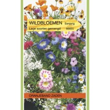 OBZ Wildbloemenmengsel Laag 1 Jarig