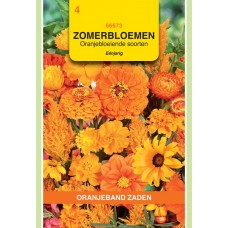 OBZ Zomerbloemen Gemengd Oranje