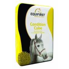 Equifirst Condition Cube
