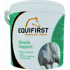 Equilannoo Muscle Support