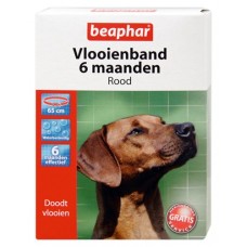 Vlooienband 6 mnd hond 65 cm