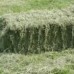 Polderfeed Hay 