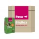 Pavo Condition Big Box